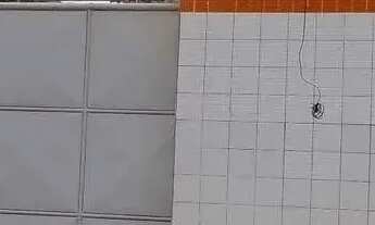 Imagem: Galpão para aluguel em área privativa