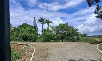 Imagem 2: Sítio Para Venda no Povoado Carlos Torres, Salgado, Sergipe
