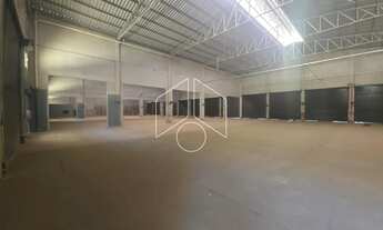 Imagem 4: Comercial GalpãoBarracão em Marília