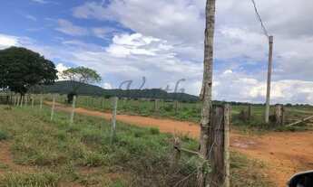 Imagem 5: Fazenda à venda com 422ha - Dupla aptidão em Unai - MG