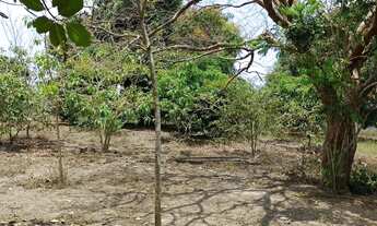 Imagem 2: Imóvel para venda tem 5000 metros quadrados com 3 quartos