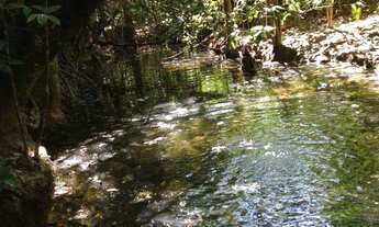 Imagem 2: OPORTUNIDADE ÚNICA!!! Fazendinha de 38 hectares as margens da BR a 12 km de Unaí MG