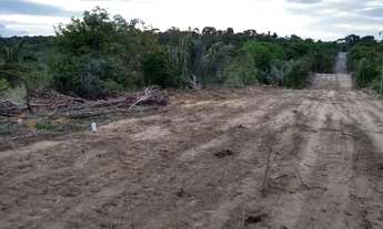 Imagem 3: Terreno 30.000m2