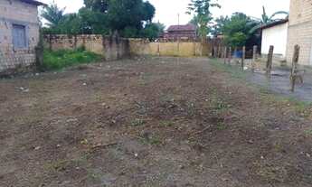 Imagem 4: Vendo terreno no Município de Apicum Açu - MA