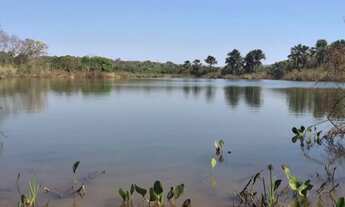 Imagem 3: Fazenda em Ituiutaba