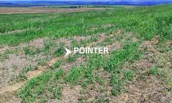 Imagem 5: Fazenda á venda com 1.742 hectares em Doverlândia - Goiás