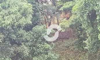 Imagem 7: Terreno à venda, 4187 m² por R$ 1.000.000,00 - Pendotiba - Niterói/RJ