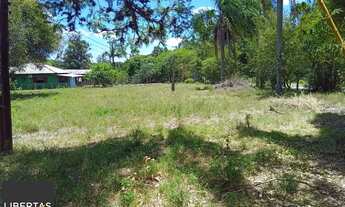 Imagem 6: Sitio com 13 mil metros com casa !