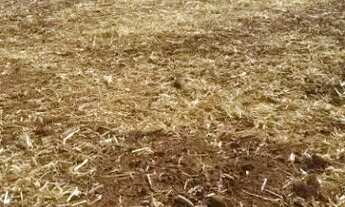 Imagem 2: Imóvel para venda possui 2675 metros quadrados em r - Sapezal - MT