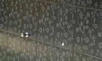 Imagem 5: Sítio 5.000m²: Seu paraíso te espera!