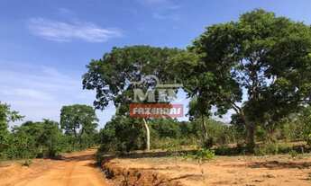 Imagem 2: Fazenda 250 alqueires (1.210 hectares) Trombas - Go