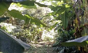 Imagem 4: Vendo chácara na Br 277 em sjp