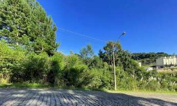 Imagem: CAXIAS DO SUL - Terreno Padrão - SÃO LUIZ