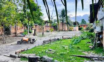 Imagem 6: Vendo lindo sítio na Vila do Cruzador/ Marapanim