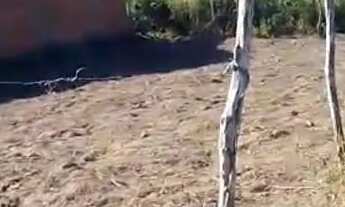 Imagem 3: Terreno / Lote - Quebradas III - Salgado