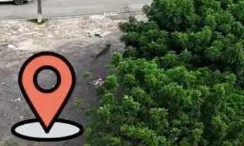 Imagem: Lotes comerciais na soledade