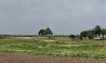 Imagem 7: ? LOTE A VENDA ?