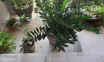 Imagem 5: Oportunidade única!Casa em Condomínio Fechado no Turu Araçagy, Próximo ao Freedom