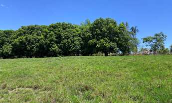 Imagem 2: Chácaras de 2mil mt em o trindade próxima do povoado de Santa Maria!