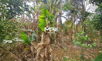 Imagem 2: Terreno à venda em Piracicaba, Vila Nossa Senhora Aparecida, com 250 m²