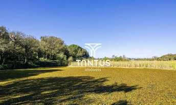 Imagem 3: Chácara à venda, 97074 m² por R$ 1.750.000,00 - Weissópolis - Pinhais/PR