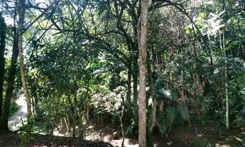 Imagem 4: 4 mil metros super local 11 9 33295660 whatsapp no