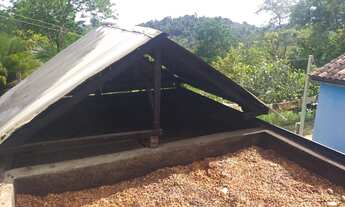 Imagem 2: Vendo Fazenda De Cacau Em Gandu