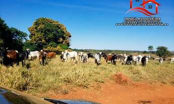 Imagem 4: Fazenda 150 Alq Região De Ituiutaba-MG