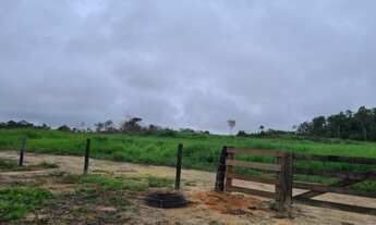 Imagem: 170 alqueires Guarantã do Norte-MT