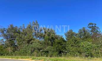 Imagem 6: Terreno - Condomínio Ecovilla Boa Vista Valinhos - Valinhos