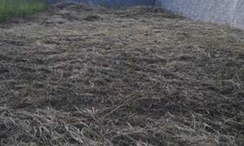 Imagem 1: Terreno no campos do conde