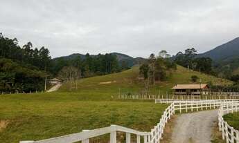 Imagem 6: Torrando fazendinha 40 hectares Sto Amaro