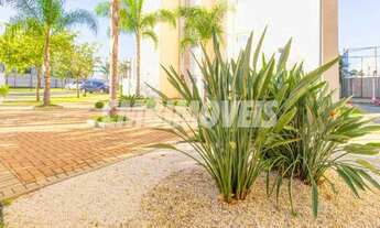 Imagem 6: Apartamento - Loteamento Industrial Veccon Zeta - Sumaré