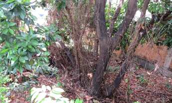 Imagem 3: Lote 360 m2 Ouro Minas R$ 350.000,00