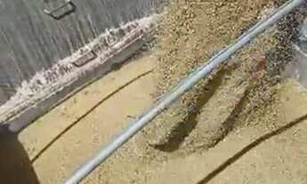 Imagem 10: 501 Alqs Arrendamento Disponivel Pra Soja Conceição do Araguaia PA