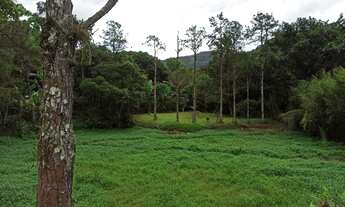 Imagem 6: Imperdível 10mil m2 com matrícula próx. a praia Boiçucanga
