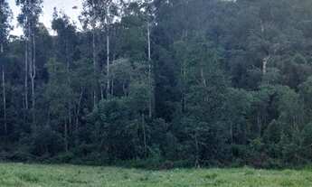 Imagem 6: Terreno Ibi Aram 2 *DIRETO PROP.* - vista reserva ambiental - oportunidade!