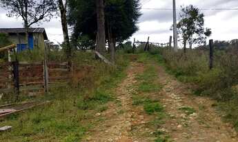 Imagem 5: Sítio Chácara com venda por R$220.000