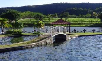 Imagem: Fazenda de 1.204 hectares em Formosa Goiás