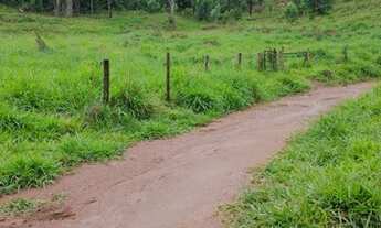 Imagem 2: Vendo Sítio Proximo Setubinha MG