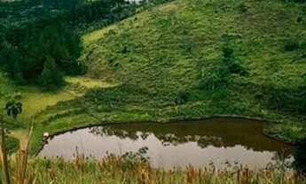 Imagem 5: Lote/Terreno para venda possui 1000 metros quadrados com 1 quarto