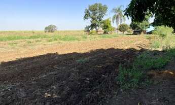 Imagem 2: Chácara em Saltinho - 100% placa - 5 mil metros