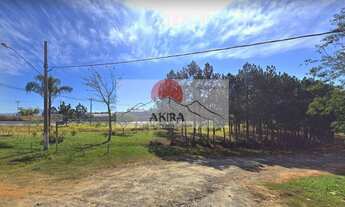 Imagem 3: Vendo área 12.000 m² frente para Dutra zoneamento misto!