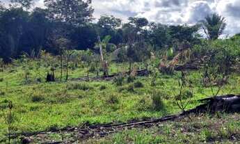 Imagem 2: 25.5 Alqueires Escriturado 32 Km da Cidade de Ariquemes
