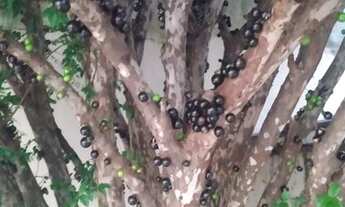 Imagem 3: Lindíssima Casa no Ingá Alto - Padrão Moderno