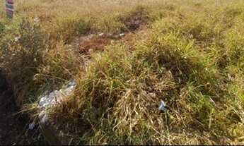 Imagem 4: 02 lotes - Terreno - Jardim California