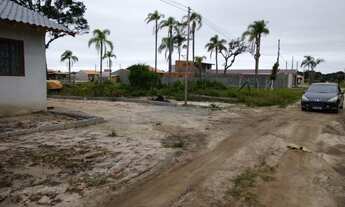 Imagem 6: Terreno plano Praia do Ervino - SFS