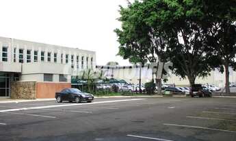 Imagem 3: Galpão - Real Parque - Campinas