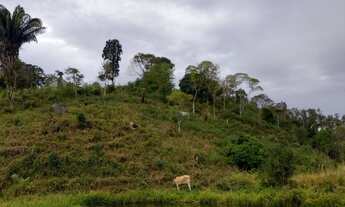 Imagem 6: Sítio Chácara com venda por R$220.000