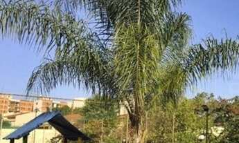 Imagem 4: Apartamento à venda, 2 quartos, 1 vaga, Parque Industrial Lagoinha - Ribeirão Preto/SP